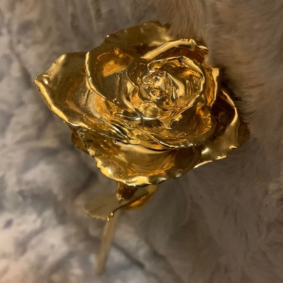 Rose - Picture 2 of 2